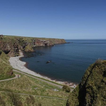 Clifftop Cottage Arbroath Eksteriør billede